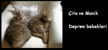 cita_monik1.jpg