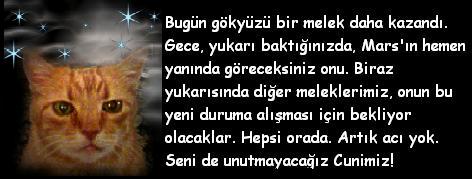 cuni_onsayfa.jpg