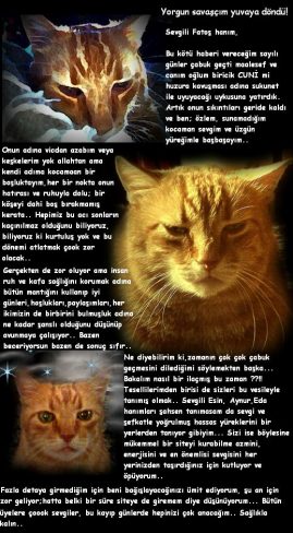 cuninin_yazisi.jpg